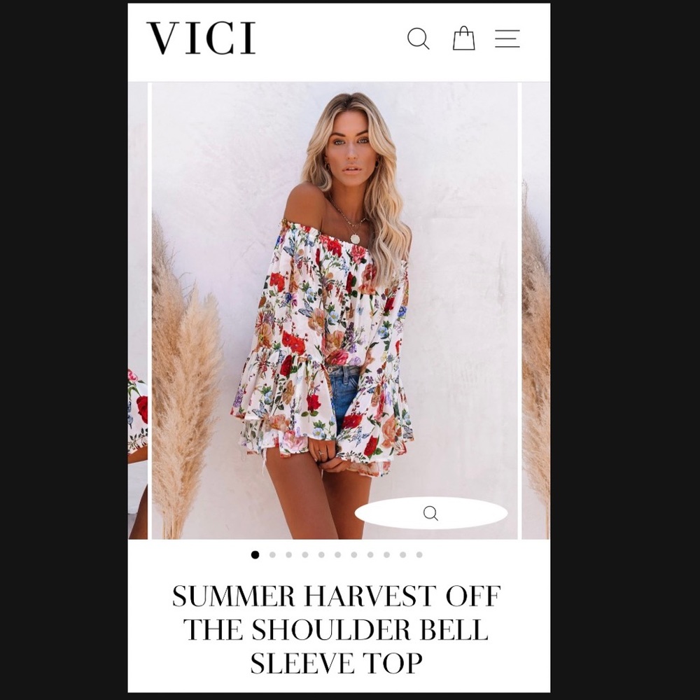 Vici Sheer Crop Floral Top
